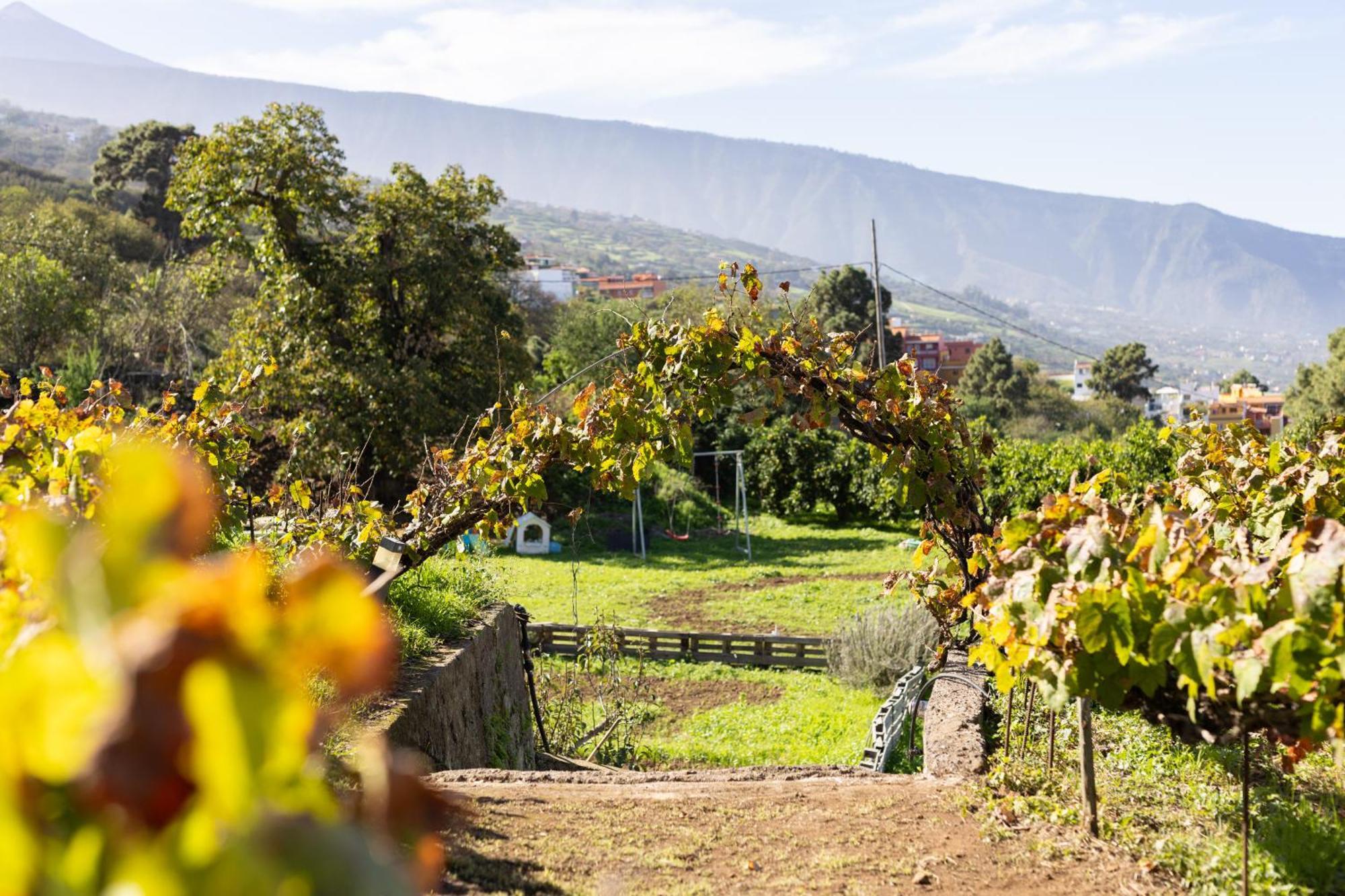 Ek Las Vistas Finca El Milagro La Orotava Extérieur photo