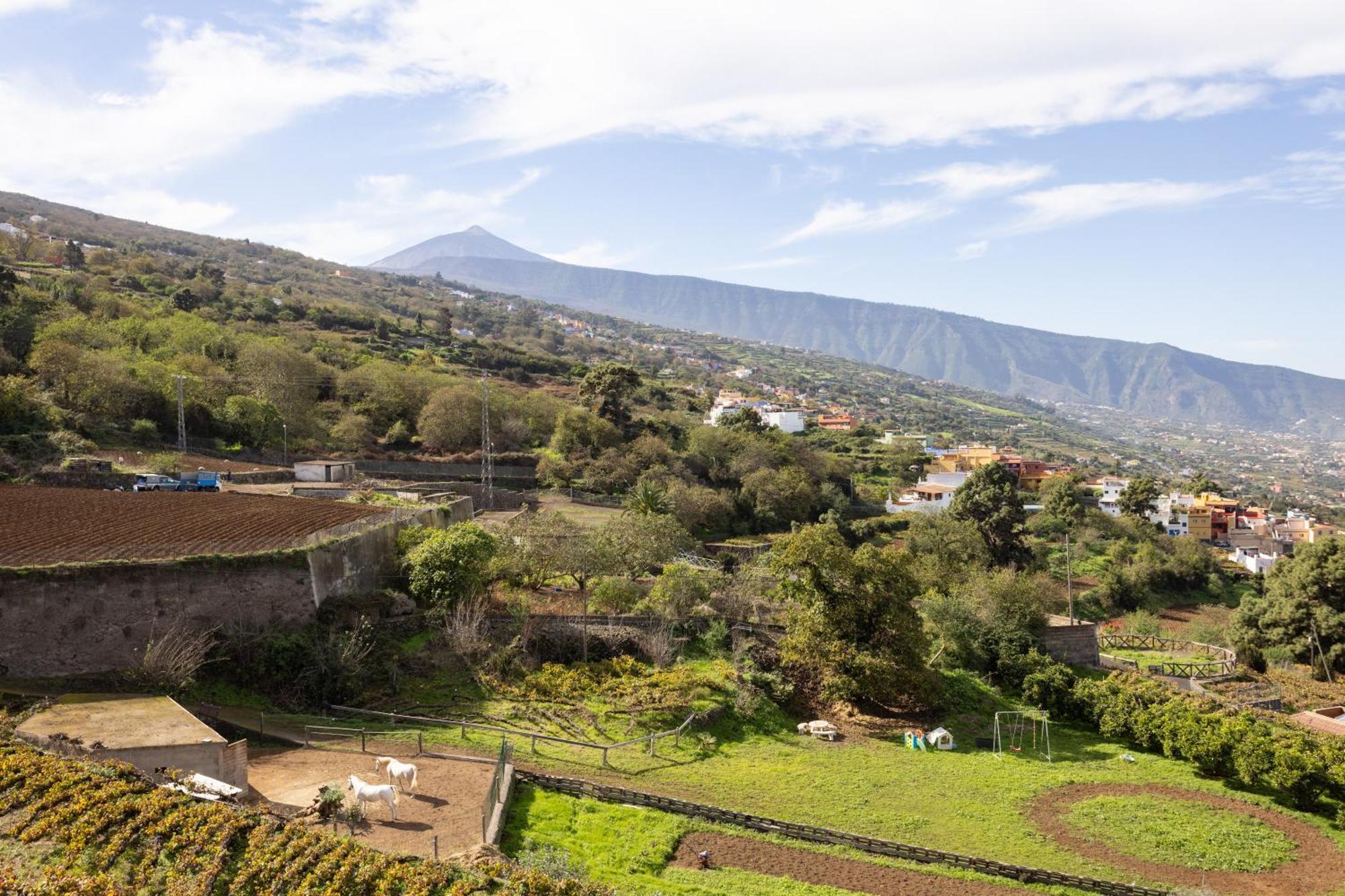 Ek Las Vistas Finca El Milagro La Orotava Extérieur photo