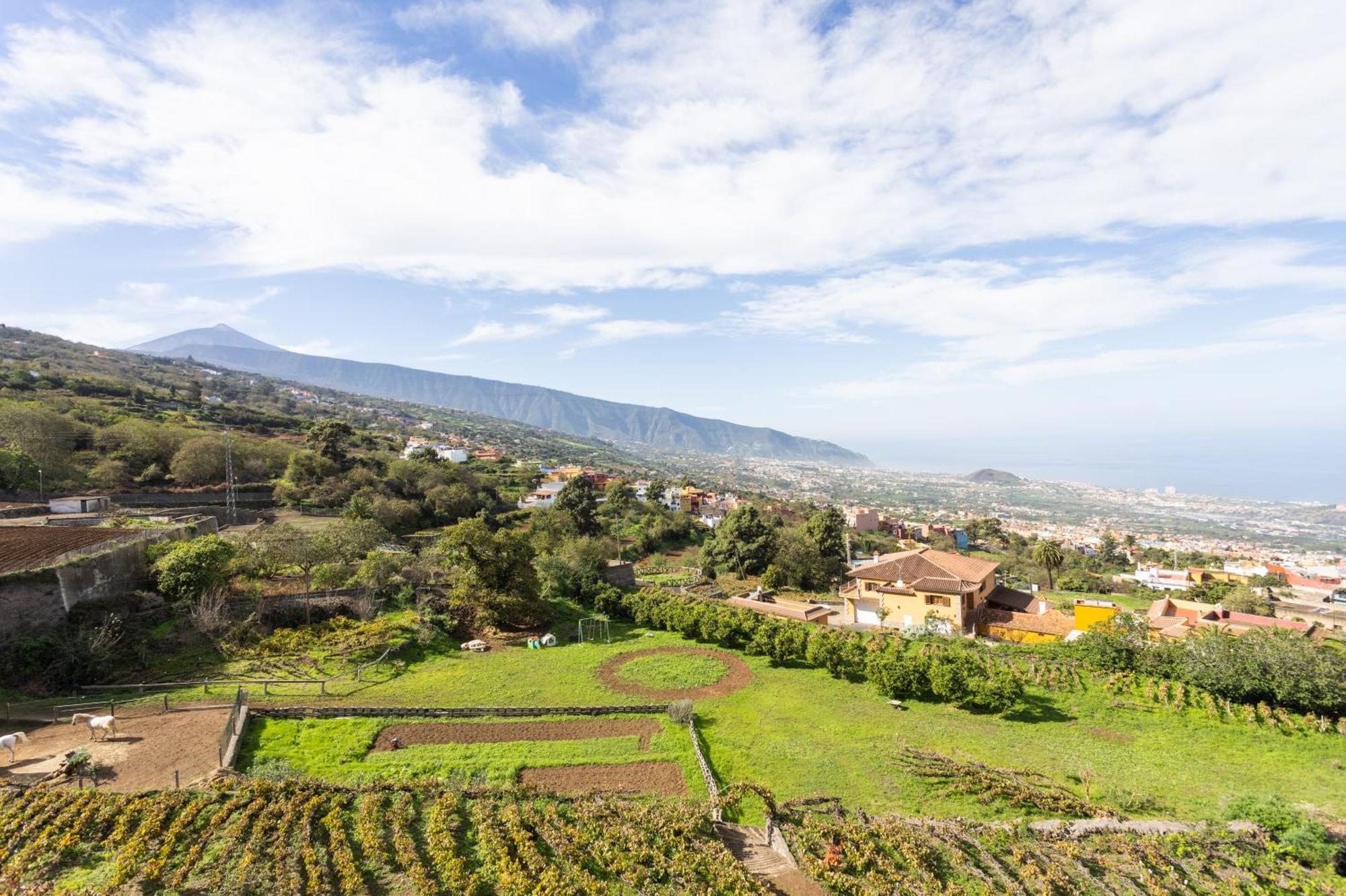 Ek Las Vistas Finca El Milagro La Orotava Extérieur photo